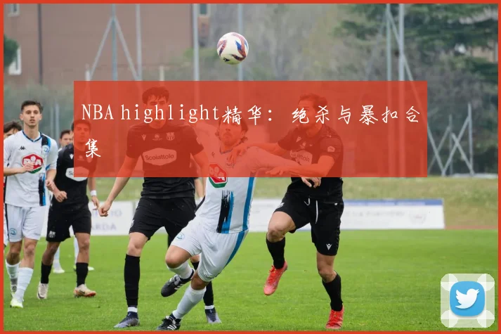 NBA highlight精华：绝杀与暴扣合集