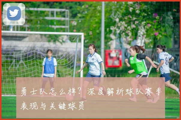 勇士队怎么样？深度解析球队赛季表现与关键球员